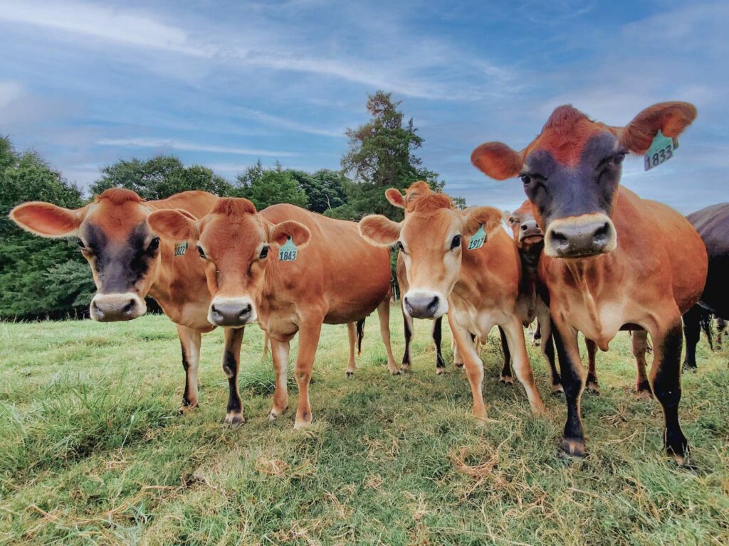 Milky Way Farm