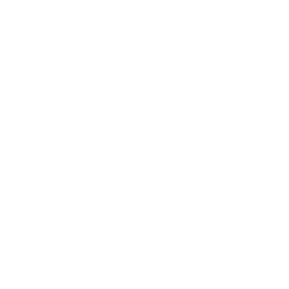 Bennett and Pless logo