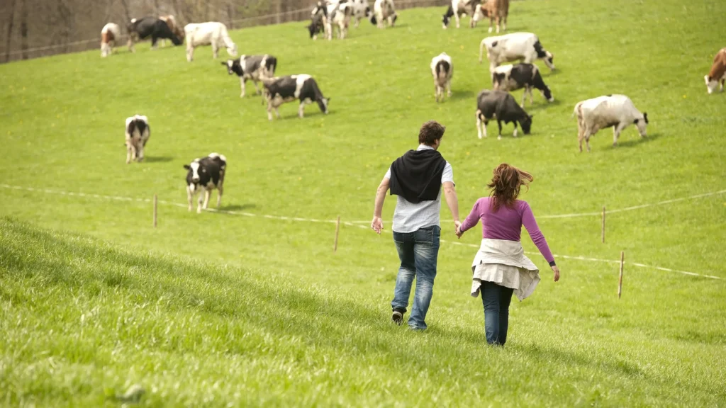 What marketers can learn from agritourism