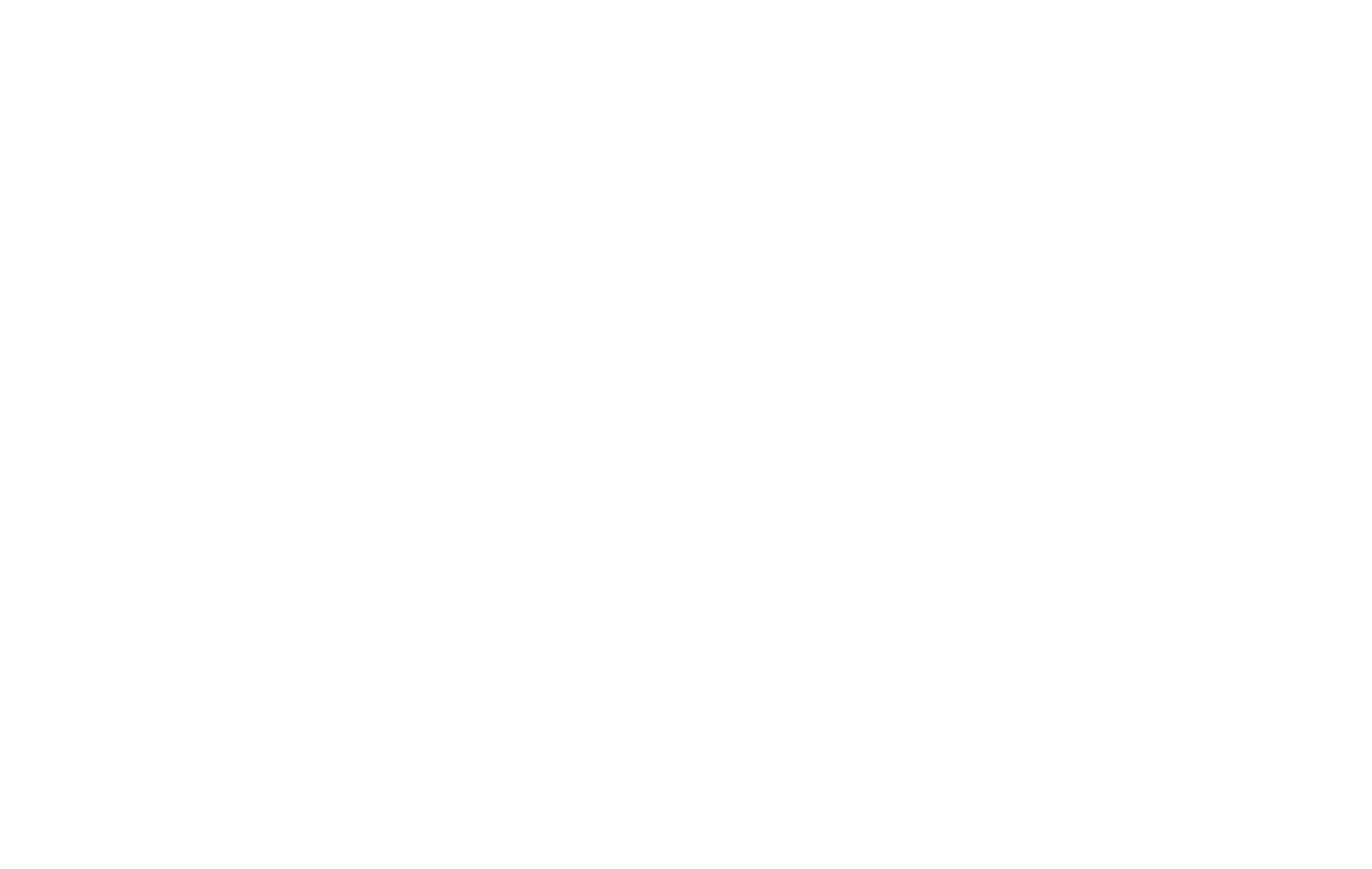 NCH logo white transparent