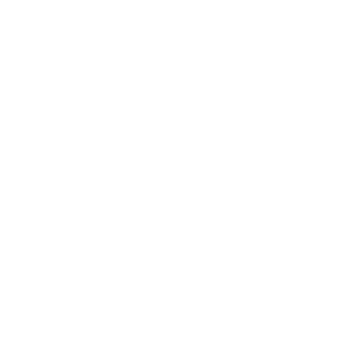 ga state university logo white transparent