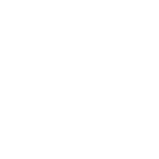 concierge mental wellness logo white transparent