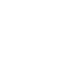 peach pass logo white transparent
