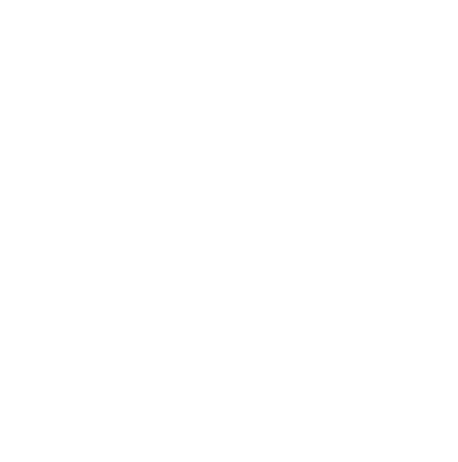 tpi icon symbol white transparent
