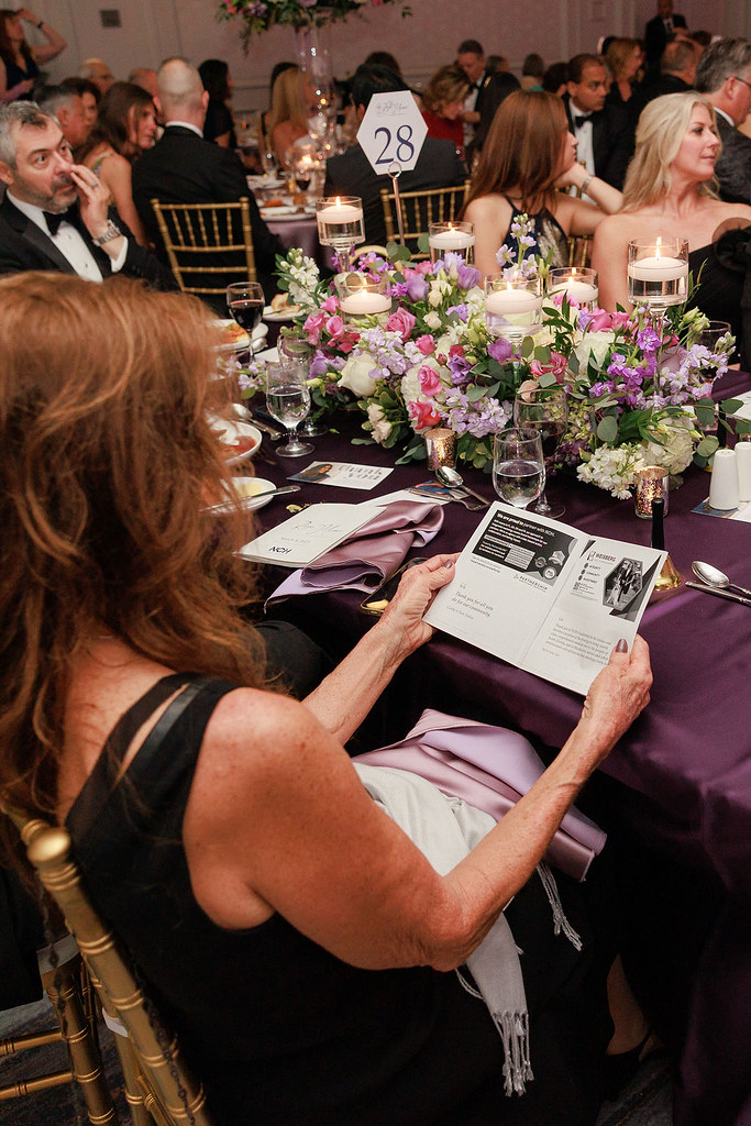 54382653941_c157a48a92_b